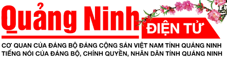 quang ninh online