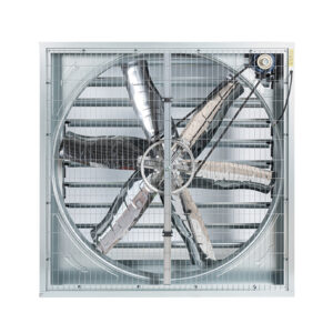 Quạt hút thông gió vuông công nghiệp